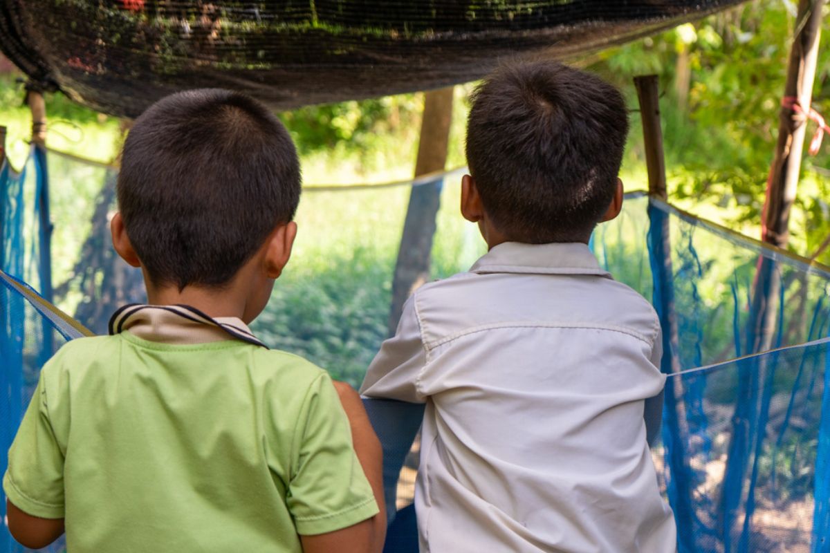 Two young boys in Cambodia look out across their family garden